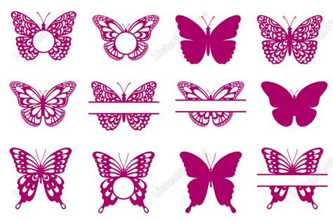 Butterfly Monogram Frame Svg