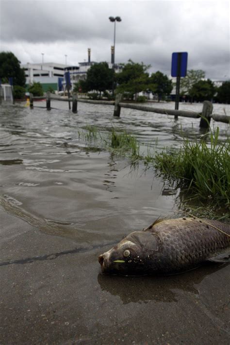 Flooding in the Midwest: Latest Photos of the Disaster | IBTimes