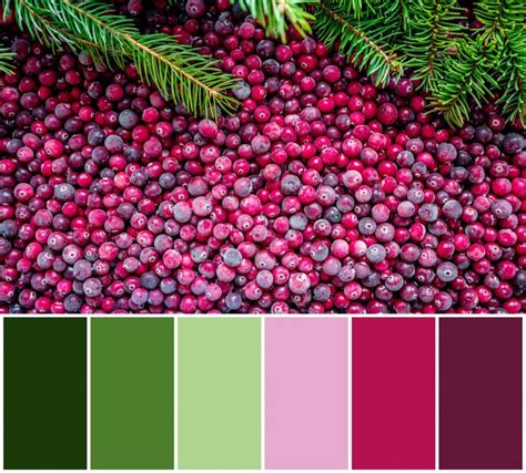 37 Christmas Color Palettes and Schemes for Inspiration and Design