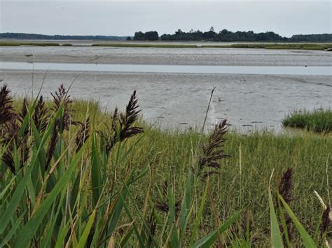 Iken Cliff, Suffolk Coastal - area information, map, walks and more