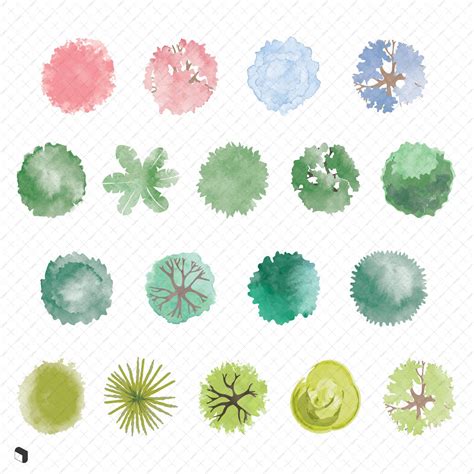 Flat Vector Watercolor Trees Top View – Toffu Co