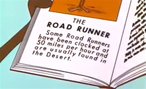 The Road Runner is not the fastest thing in his own setting : r/CharacterRant