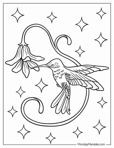 Hummingbird Coloring Pages Printable