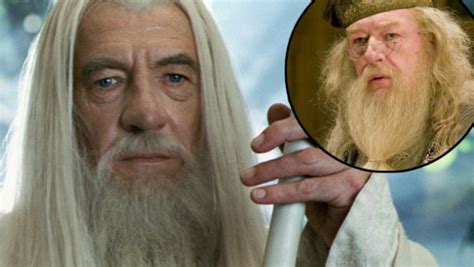 Harry Potter: Ian McKellen Reveals Why He Turned Down Role Of Dumbledore