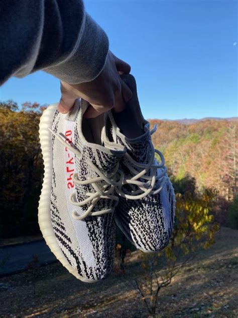 adidas Yeezy Boost 350 V2 Zebra | Kixify Marketplace