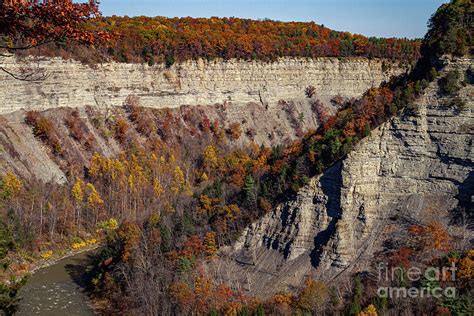 Genesee River Gorge Photograph by William Norton | Pixels