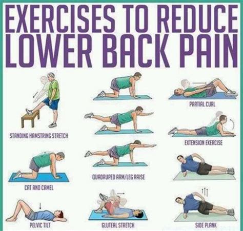 Lower back pain relief | Exercise | Pinterest