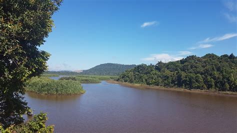 Tears over Tasik Chini - a once majestic lake now suffering - anilnetto.com