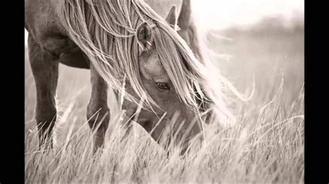 Wild Horses by The Sundays (cover) - Hannah Nicholls - YouTube