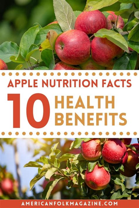 Apple Nutrition Facts and 10 Health Benefits