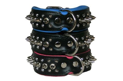 Spiked Dog Collar - Wide – WoofStar Shop