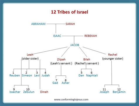 prophet jacob family tree - Daina Willoughby