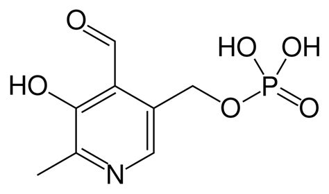 Vitamin B6 - wikidoc