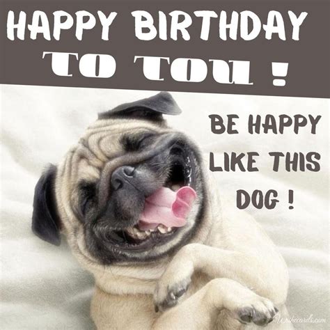 30 Cool Happy Birthday Images And Funny Cards With Dogs And Puppies