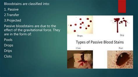 Bloodstain pattern analysis
