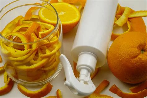 The Ultimate DIY Orange Peel Cleaner Recipe | Save.com