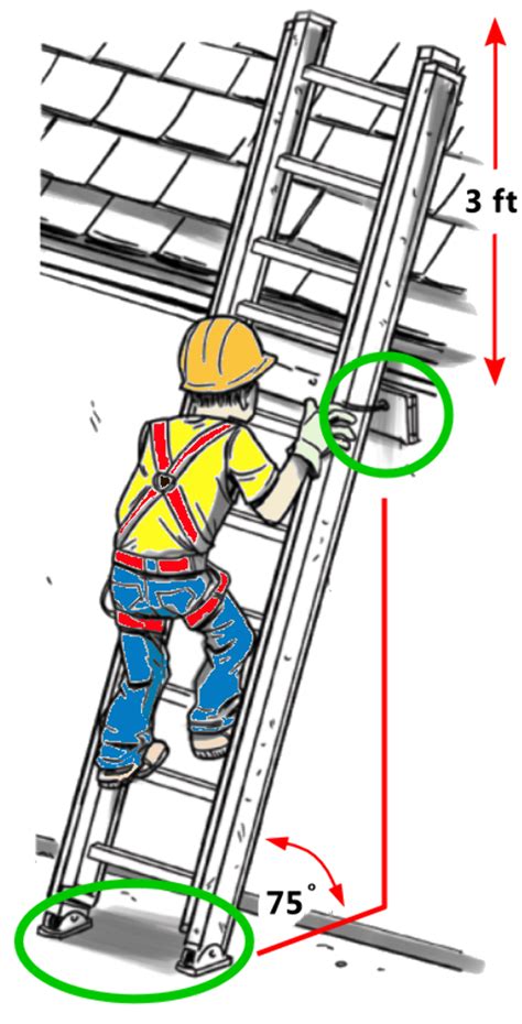 Download High Quality ladder clipart safety Transparent PNG Images ...