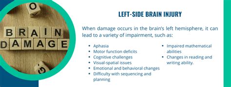 A Comprehensive Guide on the Recovery Journey After a Left-Side Brain Injury