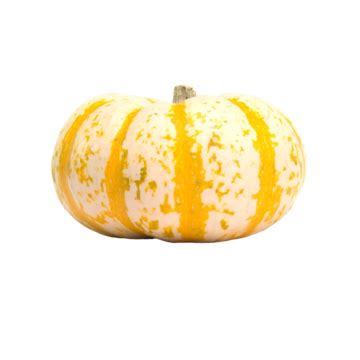 Fairytale Pumpkin Gourds Harvest Patch, Patch, Fall, Isolated White PNG Transparent Image and ...
