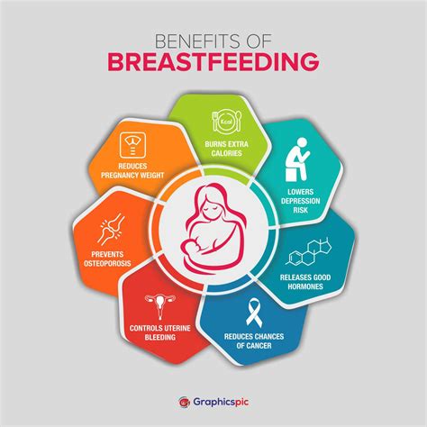 Benefits of breastfeeding for moms maternity vector image. Infograph 7 element with centre ...