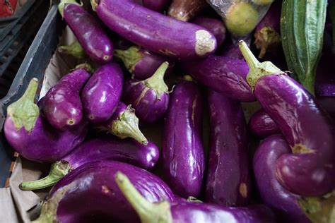 Eggplant 1080P, 2K, 4K, 5K HD wallpapers free download | Wallpaper Flare