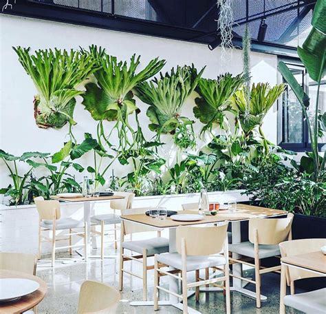 Top 5 Flower & Plant Cafes In Melbourne - Where To Melbourne