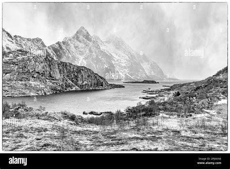 Lofoten fjord Cut Out Stock Images & Pictures - Alamy