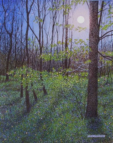 Moonlit Forest - Society of Botanical Artists