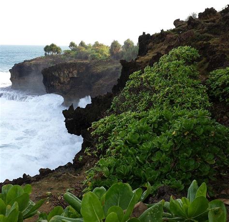 Pangandaran National Park - 2022 Qué saber antes de ir - Lo más comentado por la gente - Tripadvisor