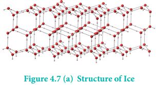 Hydrogen Bonding