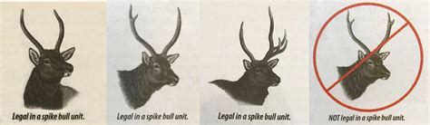 A reminder to elk... - Utah Division of Wildlife Resources