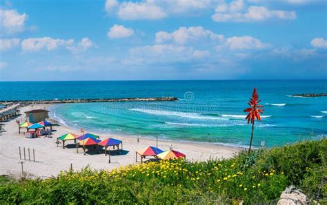 Hilton Beach in the Summertime in Tel-Aviv, Israel Stock Photo - Image ...