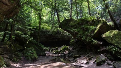 Turkey Run State Park: A Walk Through Geologic History (part 1) | HuffPost Contributor