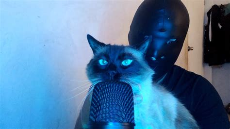 ASMR CAT - YouTube