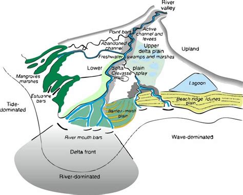 2. A synthetic river delta comprising the whole range of... | Download ...