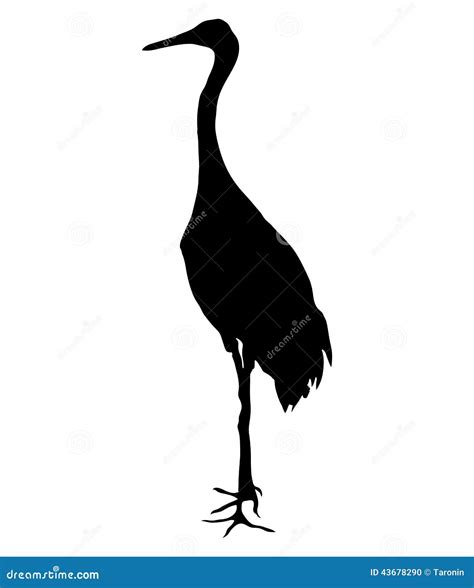 Crane Bird On The White. Stock Vector - Image: 43678290