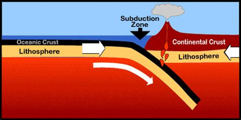 AP Notes - Plate Tectonics - AP Environmental Science