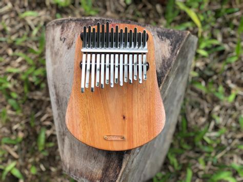 My new Kalimba with special tuning -Pelog and Slendro scale. Pelog and Slendro scale are used ...