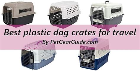 Top 10 best plastic dog crates for travel and everyday use (Updated 2021)