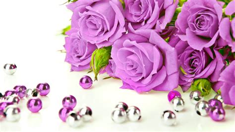 Beautiful Purple Roses Wallpapers - WallpaperSafari