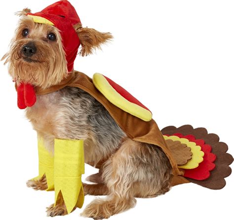 RUBIE'S COSTUME COMPANY Turkey Dog Costume, Small - Chewy.com