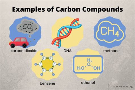 Why Is Carbon So Versatile