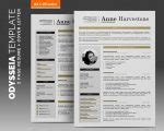 Best 2-Page Creative Resume Template / Odysseia Professional Resume