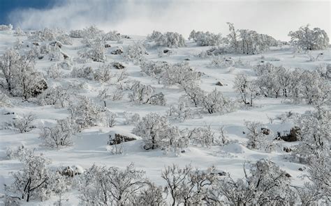 10 awesome photos of the snow on Israel's highest peak - ISRAEL21c