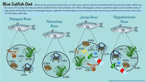 Scientists – INSIDE Virginia Sea Grant