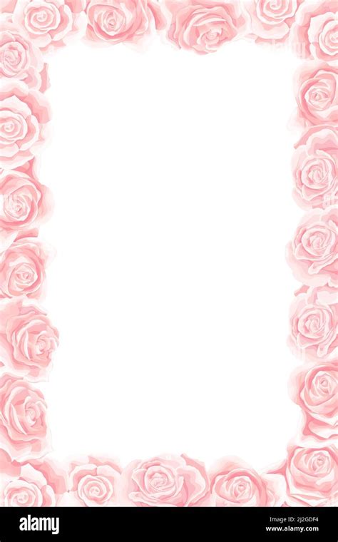 Elegant pink roses floral bouquet as a frame. Vector summer border design Stock Vector Image ...