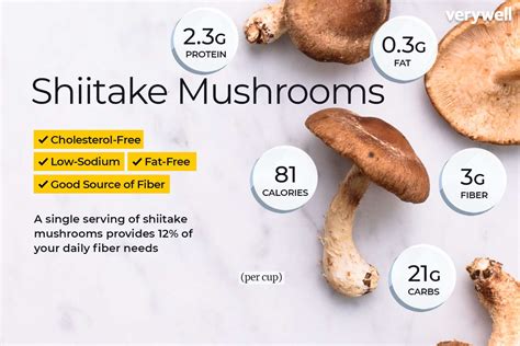 King Oyster Mushroom Nutritional Value | Besto Blog