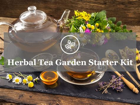 Herbal Tea Growing Kit Guide - Gardening Tips Blog - Sow Right Seeds