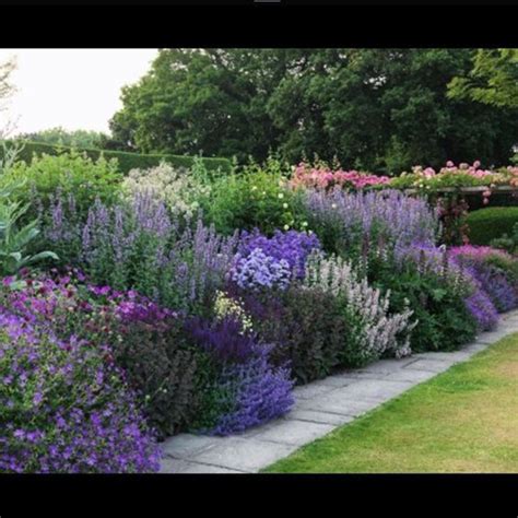 I love tall billowing perennials and this herbaceous border is just ...