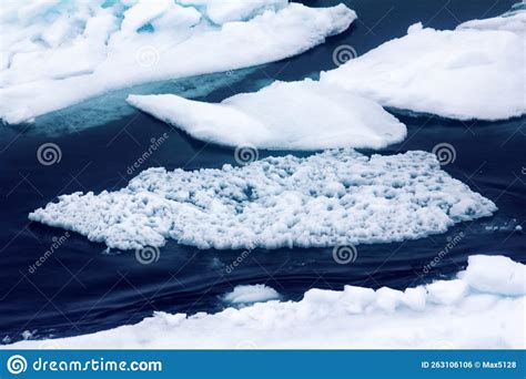 Actively melting polar ice stock photo. Image of climate - 263106106